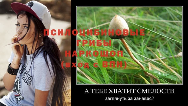ешки Абдулино