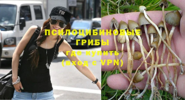 ешки Абдулино