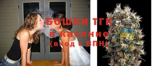 гашик Алексеевка