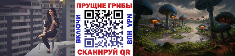 MEGA маркетплейс  Ростов-на-Дону  Псилоцибиновые грибы GOLDEN TEACHER  где купить  